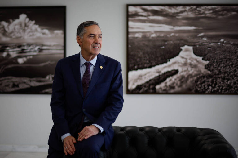 Leia mais sobre o artigo O ursinho togado