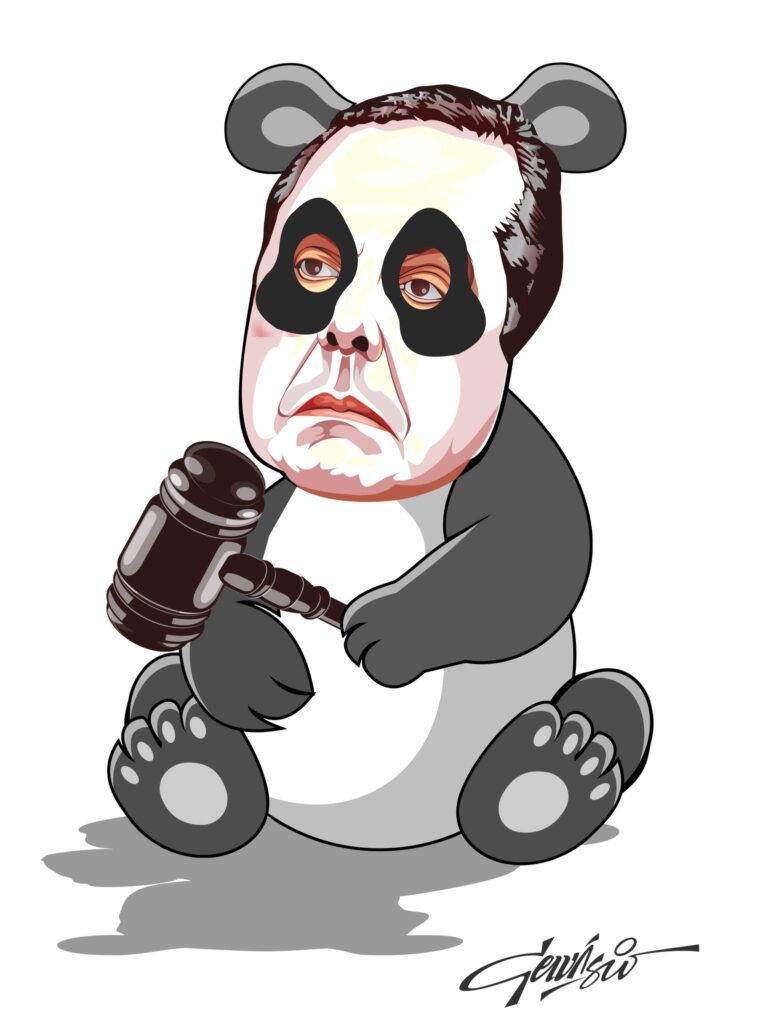 Ursinho Togado by Gervásio Castro Neto